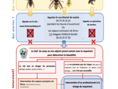 Incommodés par les guêpes ou les frelons ?