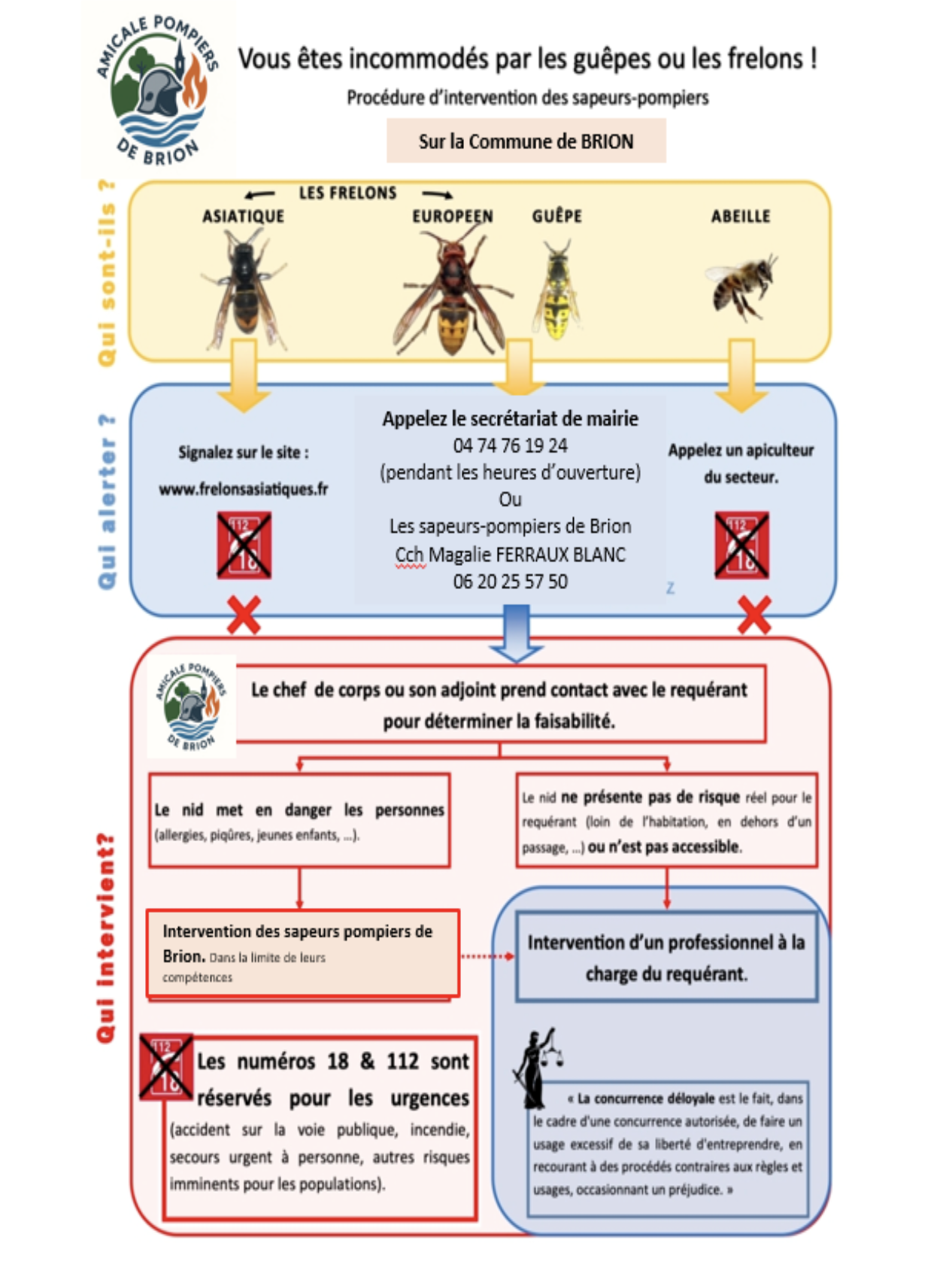 Incommodés par les guêpes ou les frelons ?